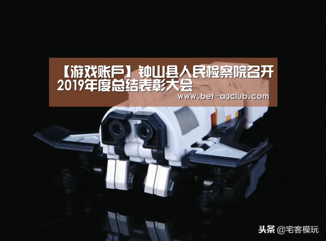 【游戏账户】钟山县人民检察院召开2019年度总结表彰大会(图1) ag真人注册