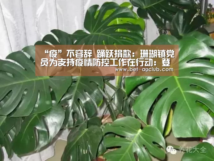 “疫”不容辞 踊跃捐款:珊瑚镇党员为支持疫情防控工作在行动:登录问题(图2) 游戏账户