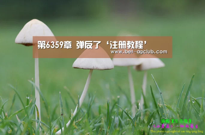 第6359章 弹反了‘注册教程’(图1) AG真人
