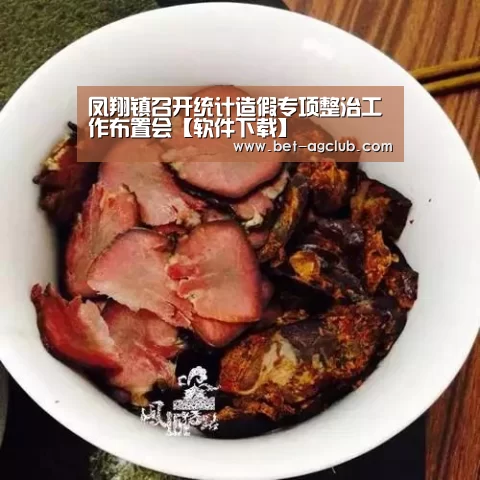 凤翔镇召开统计造假专项整治工作布置会【软件下载】(图2) 登录问题