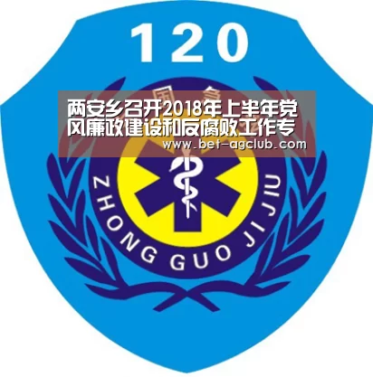 两安乡召开2018年上半年党风廉政建设和反腐败工作专题会议-登录问题(图3) 软件下载