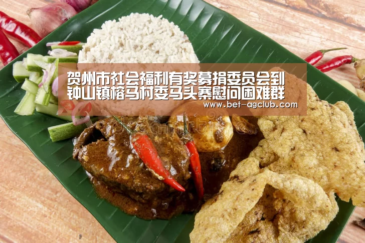 贺州市社会福利有奖募捐委员会到钟山镇榕马村委马头寨慰问困难群众-游戏账户(图1) ag真人注册